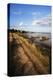 Track by the River at Orford Quay, Orford, Suffolk, England, United Kingdom, Europe-Mark Sunderland-Premier Image Canvas