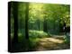 Track Leading Through Lanhydrock Beech Woodland with Bluebells in Spring, Cornwall, UK-Ross Hoddinott-Premier Image Canvas