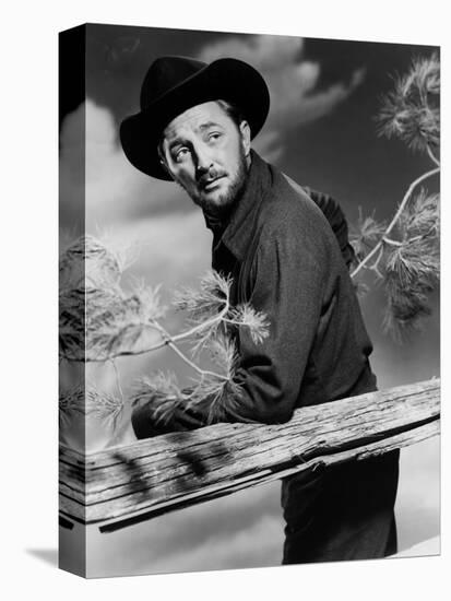 Track of the Cat by William A. Wellman with Robert Mitchum, 1954 (b/w photo)-null-Stretched Canvas