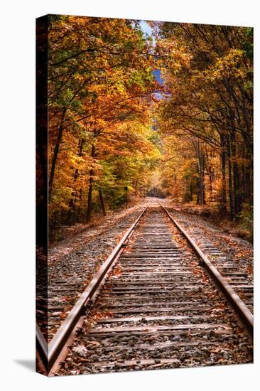 Tracks Into Fall, White Mountains New Hampshire, New England in Autumn-Vincent James-Premier Image Canvas