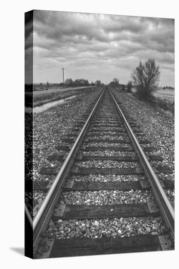 Tracks Through the Central Valley, Sacramento California-Vincent James-Premier Image Canvas