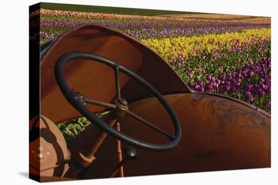 Tractor at the Tulip Festival, Woodburn, Oregon, USA-Michel Hersen-Premier Image Canvas