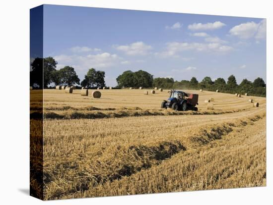 Tractor Harvesting Near Chipping Campden, Along the Cotswolds Way Footpath, the Cotswolds, England-David Hughes-Premier Image Canvas