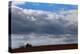 Tractor Ploughing Field, Near Fenor, County Waterford, Ireland-null-Premier Image Canvas