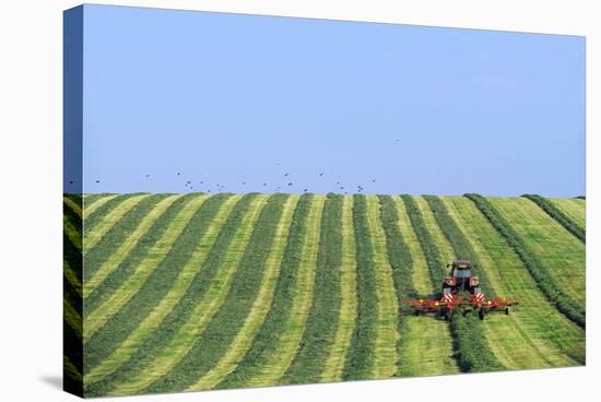 Tractor Turning Grass for Silage-Jeremy Walker-Premier Image Canvas