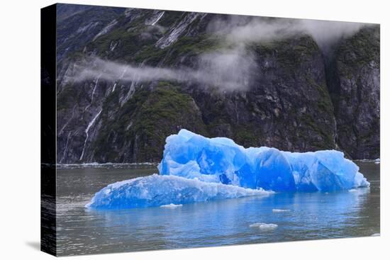 Tracy Arm Fjord, clearing mist, blue icebergs and cascades, near South Sawyer Glacier, Alaska, Unit-Eleanor Scriven-Premier Image Canvas