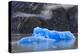 Tracy Arm Fjord, clearing mist, blue icebergs and cascades, near South Sawyer Glacier, Alaska, Unit-Eleanor Scriven-Premier Image Canvas