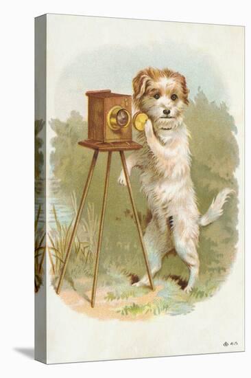 Trade Card of a Terrier Photographer-null-Premier Image Canvas