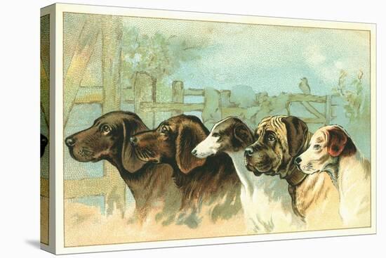 Trade Card with the Profiles of Five Different Dog Breeds-null-Premier Image Canvas
