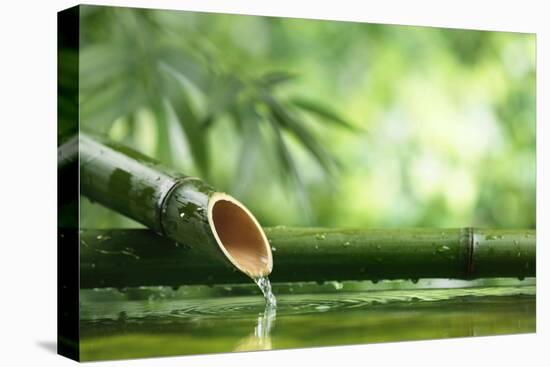 Traditional Asian Bamboo Fountain-Sofiaworld-Premier Image Canvas