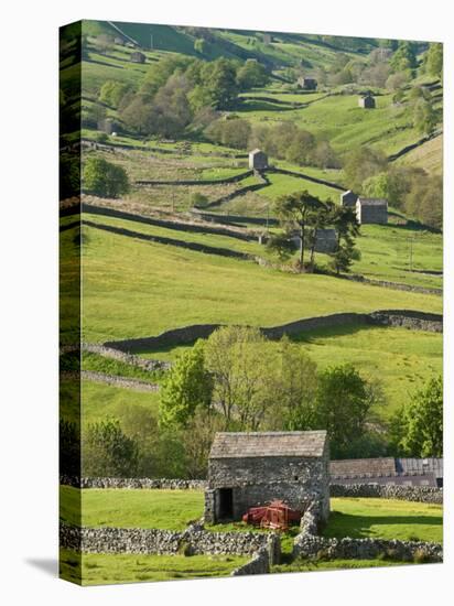 Traditional Barns and Dry Stone Walls in Swaledale, Yorkshire Dales National Park, England-John Woodworth-Premier Image Canvas