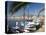 Traditional Boats Moored in the Harbour, Port D'Alcudia, Mallorca, Balearic Islands, Spain, Mediter-Ruth Tomlinson-Premier Image Canvas