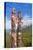 Traditional Canadian Native Totem Poles at Sunwapta Falls Resort-Neale Clark-Premier Image Canvas