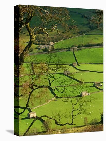Traditional Farming Valley in Swaledale, Yorkshire Dales National Park, England-Paul Harris-Premier Image Canvas