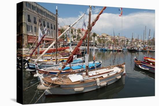 Traditional Fishing Boats Moored in the Harbour at Sanary-Sur-Mer, Provence, France, Europe-Martin Child-Premier Image Canvas