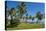 Traditional hut in Saint Joseph, Ouvea, Loyalty Islands, New Caledonia, Pacific-Michael Runkel-Premier Image Canvas