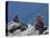 Traditional Inushuk Cairns at the Peak of Whistler Mountain, Whistler, British Columbia, Canada, No-Martin Child-Premier Image Canvas