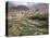 Traditional Jabali Village with Palmery in Basin in Jabal Akhdar, Bilad Sayt, Oman, Middle East-Tony Waltham-Premier Image Canvas