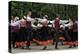 Traditional Latvian Folk Dancing, Near Riga, Baltic States-Gary Cook-Premier Image Canvas