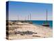 Traditional Sailing Boat in the Banc D'Arguin, UNESCO World Heritage Site, Mauritania, Africa-Michael Runkel-Premier Image Canvas