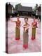 Traditional Thai Dancers, Old Chiang Mai Cultural Centre, Chiang Mai, Thailand, Southeast Asia-Gavin Hellier-Premier Image Canvas