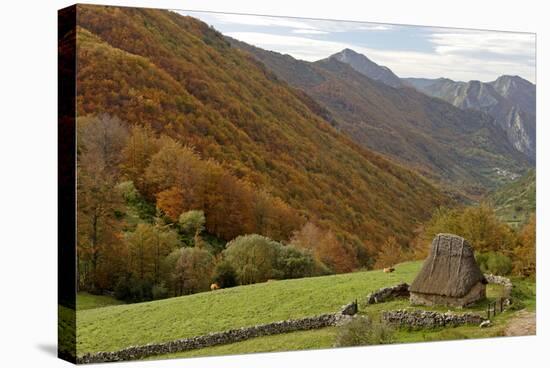 Traditional Thatched Hut, Brana De Fuexu, Valle Del Lago, Somiedo Np. Asturias, Spain-Juan Manuel Borrero-Premier Image Canvas