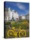 Traffic Roundabout with Painted Bicycles, Seaton, Devon Heritage Coast, Devon, England, UK, Europe-Neale Clarke-Premier Image Canvas