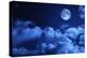 Tragic Night Sky with A Full Moon-korionov-Premier Image Canvas