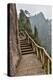 Trail in Fog, Yellow Mountains a UNESCO World Heritage Site-Darrell Gulin-Premier Image Canvas