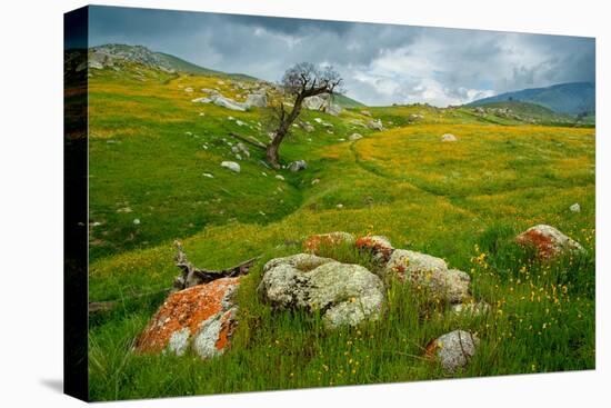 Trail Northward-Mark Geistweite-Premier Image Canvas