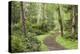 Trail Through Woods, Stuart Island, San Juan Islands, Washington, USA-Jaynes Gallery-Premier Image Canvas