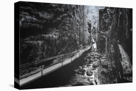 Trail to Flume Gorge, White Mountain New Hampshire-Vincent James-Premier Image Canvas