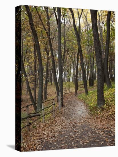 Trail to Great Bear and Little Bear Mound, Effigy Mounds National Monument, Iowa, USA-Jamie & Judy Wild-Premier Image Canvas