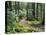 Trail to Soleduc Falls, Olympic National Park, Washington, USA-Charles Sleicher-Premier Image Canvas