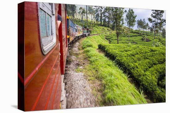 Train Journey Through Tea Plantations-Matthew Williams-Ellis-Premier Image Canvas