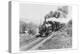 Train of the Northern Pacific Railway Co.-null-Stretched Canvas