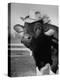 Trained Cow Wearing a Hat-Nina Leen-Premier Image Canvas