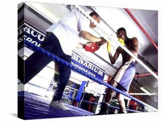 Trainer and Boxer in the Ring-null-Premier Image Canvas