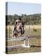 Training a Show Jumper-null-Premier Image Canvas