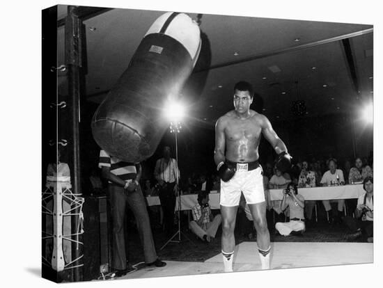 Training of Muhammad Ali in Washington April 20, 1976-null-Stretched Canvas