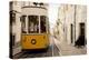 Tram in Elevador Da Bica, Lisbon, Portugal-Ben Pipe-Premier Image Canvas