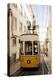 Tram in Elevador Da Bica, Lisbon, Portugal-Ben Pipe-Premier Image Canvas