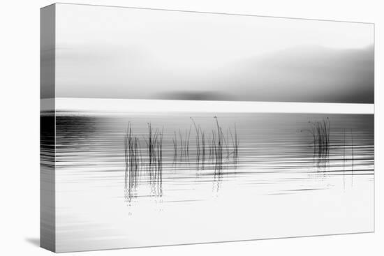 Tranquil Dawn-Marvin Pelkey-Premier Image Canvas