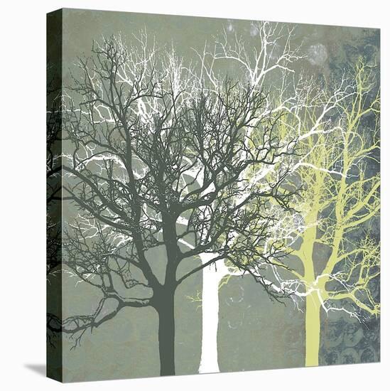 Tranquil Forest-Erin Clark-Stretched Canvas