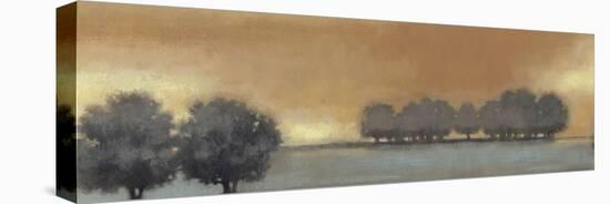 Tranquil Landscape V-Norman Wyatt Jr.-Stretched Canvas