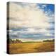 Tranquil Meadow-Zenon Burdy-Stretched Canvas