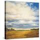 Tranquil Meadow-Zenon Burdy-Stretched Canvas
