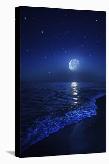 Tranquil Ocean at Night Against Starry Sky and Moon-null-Premier Image Canvas