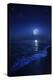 Tranquil Ocean at Night Against Starry Sky and Moon-null-Premier Image Canvas