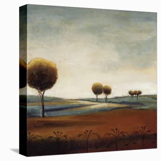 Tranquil Plains I-Ursula Salemink-Roos-Stretched Canvas